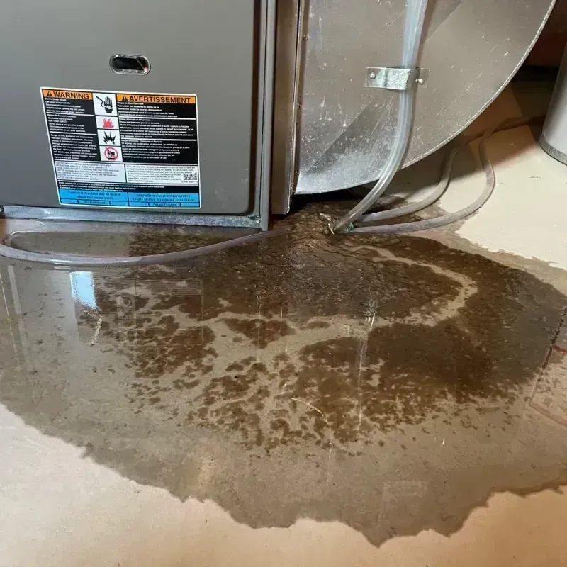 Appliance Leak Cleanup in Broomfield, CO